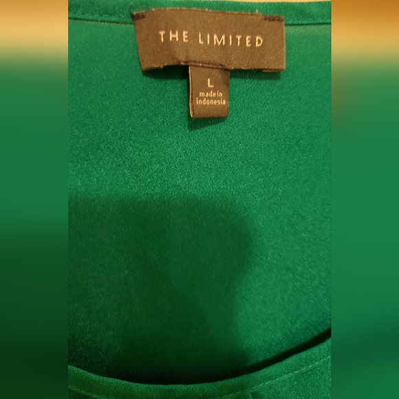 The Limited green sleeveless top - Picture 5 of 5